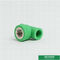 Din8077/8078 instalaciones de tuberías de Ppr, buen impacto roscado femenino verde de la camiseta