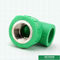 Dinar roscado femenino verde de la camiseta 8077 instalaciones de tuberías de Ppr
