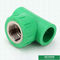 Dinar roscado femenino verde de la camiseta 8077 instalaciones de tuberías de Ppr