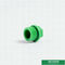Enchufe reciclable de Ppr de las instalaciones de tuberías, enchufes principales redondos del tubo del polietileno