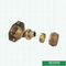 Colocaciones de cobre amarillo de Pex de las colocaciones de Pex 105 grados de codo roscado femenino de cobre amarillo