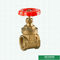Válvula de puerta roscada de cobre amarillo para el control PN16 del agua