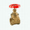 El EXTRANJERO 200 manija roja del hierro de 2 pulgadas modificó la válvula de puerta de cobre amarillo de un estilo más pesado de BSPT para requisitos particulares Y del NPT
