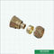 Colocaciones de cobre amarillo PN20 1/2' de Pex del acoplamiento roscado Hpb58-3