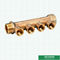 Dos maneras a seis múltiples de cobre amarillo de los separadores de agua de las maneras para el tubo de Pex con las colocaciones del tornillo masculino para el abastecimiento de la agua caliente