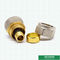 Las colocaciones de cobre amarillo modificadas para requisitos particulares de la compresión femenina del acoplamiento roscado atornillan las colocaciones para el tubo de aluminio de Pex Pex
