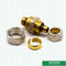 Las colocaciones de cobre amarillo modificadas para requisitos particulares de la compresión del acoplamiento roscado del igual atornillan las colocaciones para el tubo de aluminio de Pex Pex