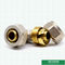 Las colocaciones de cobre amarillo roscadas iguales modificadas para requisitos particulares de la compresión del codo atornillan las colocaciones para el tubo de aluminio de Pex Pex