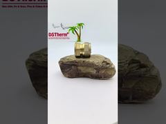 Acoplamiento hembra de tubería, accesorios de latón PEX para tubo SS