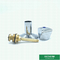 Válvula de parada plástica del tubo de comunicación de la válvula de parada de la manija PPR del triángulo para la transferencia fría de la agua caliente