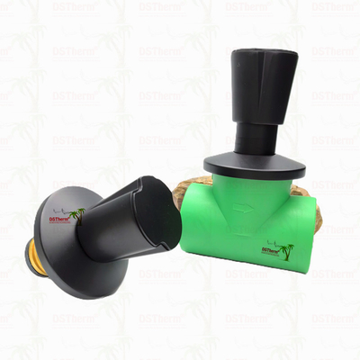Ppr Válvula de parada con chapa negra Válvula de latón núcleo electroforético revestimiento negro Tamaño personalizado