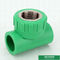 Din8077/8078 instalaciones de tuberías de Ppr, buen impacto roscado femenino verde de la camiseta