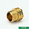 El material de CW617N modificó el peso de cobre amarillo masculino del encendedor para requisitos particulares de los partes movibles de los diseños para las colocaciones de Ppr