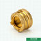 El encendedor material de CW617N diseña los partes movibles de cobre amarillo femeninos para las colocaciones de Ppr