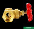 La manija del arrabio modificó el tipo más pesado femenino doble de cobre amarillo válvula de la válvula para requisitos particulares de puerta de la marca de puerta