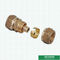Colocaciones de cobre amarillo PN20 1/2' de Pex del acoplamiento roscado Hpb58-3