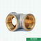 Colocaciones de cobre amarillo roscadas femeninas de Pex de las colocaciones de la compresión de las colocaciones del tornillo de la camiseta para el tubo de aluminio de Pex Pex