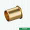 Colocaciones de cobre amarillo de acoplamiento de Pex de las colocaciones de la compresión de las colocaciones PE del tornillo PE para el tubo de aluminio de Pex PE