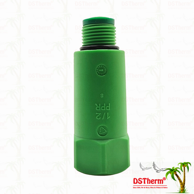Enchufe de tuberías PPR Enchufe de prueba PPR Enchufe larga Enchufe personalizada Color/logo 1/2